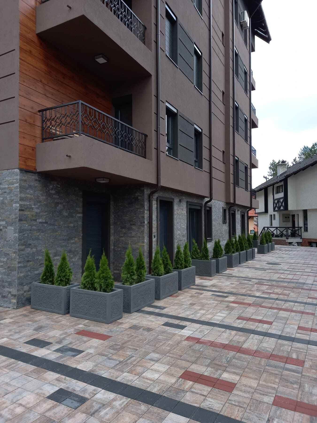 Posađene tuje u saksije ispred zgrade